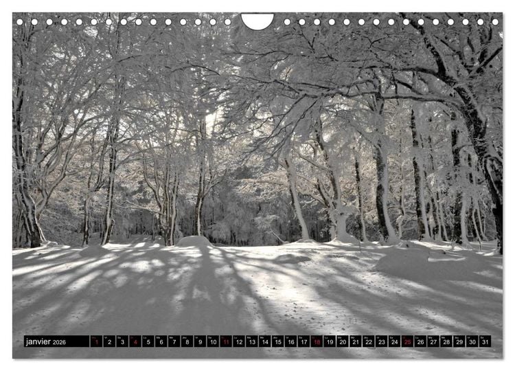 Produktbild: Collection Terre AUBRAC (Calendrier mural 2026 DIN A4 vertical), CALVENDO calendrier mensuel