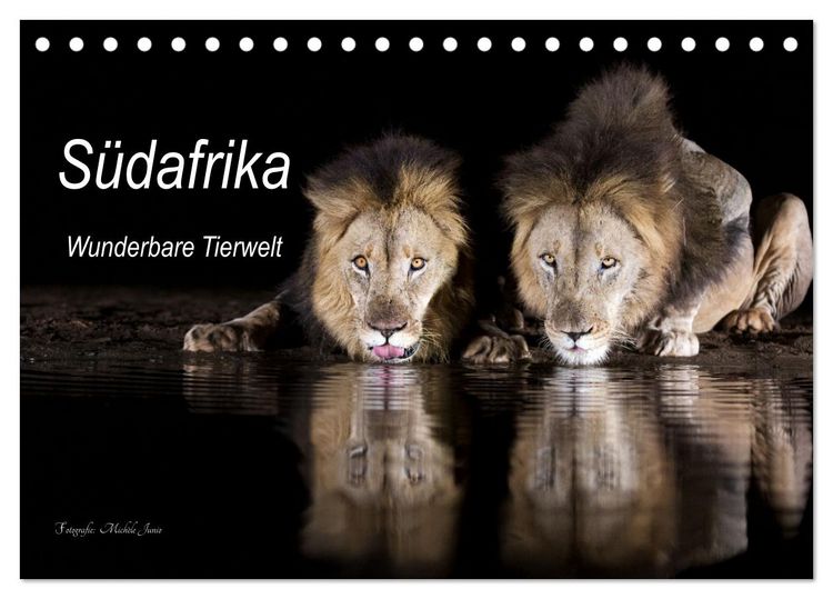Produktbild: S&uuml;dafrika wunderbare Tierwelt (Tischkalender 2026 DIN A5 quer), CALVENDO Monatskalender
