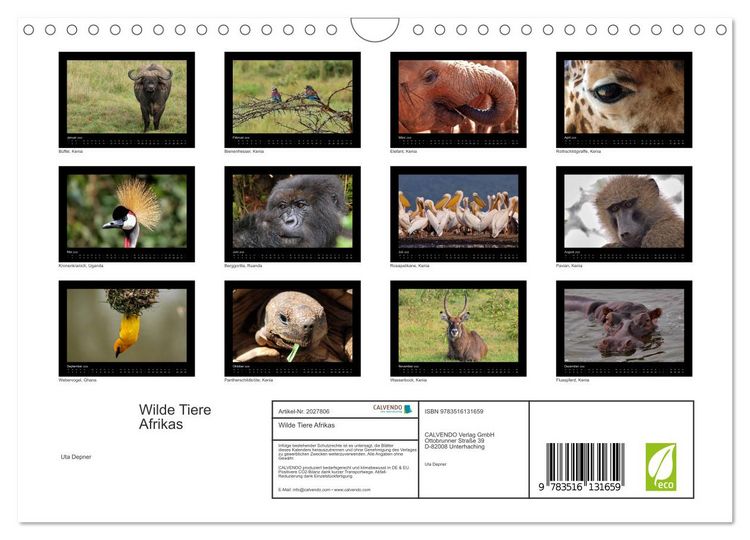 Produktbild: Wilde Tiere Afrikas (Wandkalender 2026 DIN A4 quer), CALVENDO Monatskalender