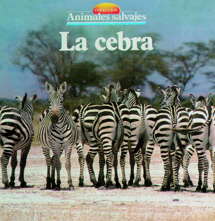 Produktbild: La cebra
