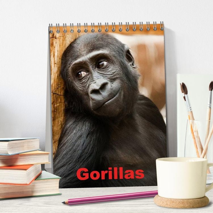 Produktbild: Gorillas (Tischkalender 2026 DIN A5 hoch), CALVENDO Monatskalender