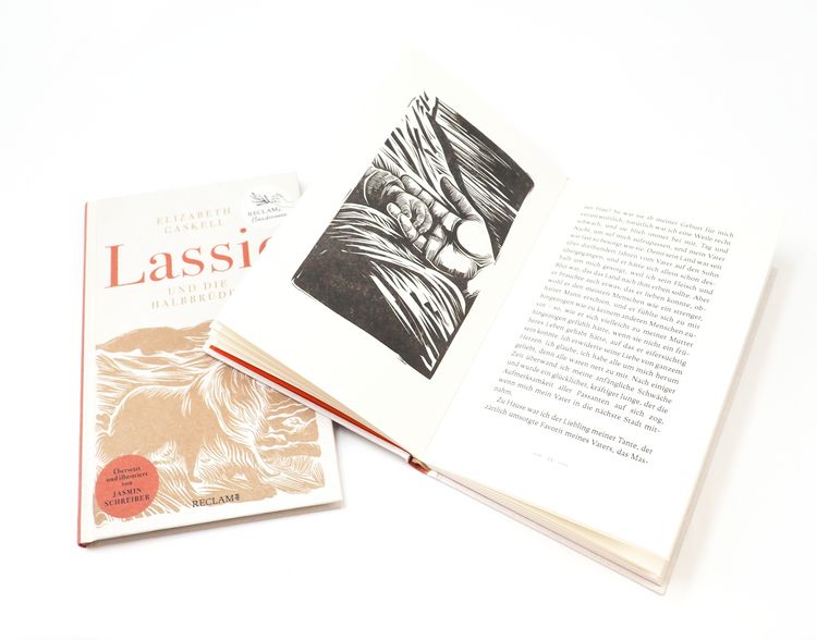Produktbild: Lassie und die Halbbr&uuml;der