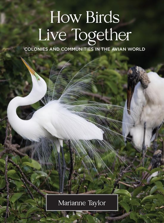 Produktbild: How Birds Live Together