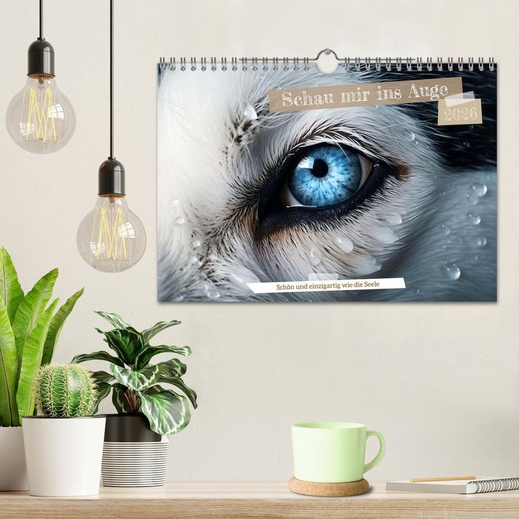 Produktbild: Schau mir ins Auge (Wandkalender 2026 DIN A4 quer), CALVENDO Monatskalender