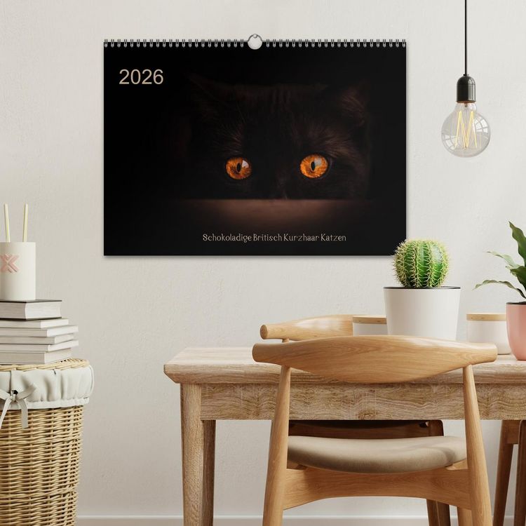 Produktbild: Schokoladige Britisch Kurzhaar Katzen (Wandkalender 2026 DIN A3 quer), CALVENDO Monatskalender