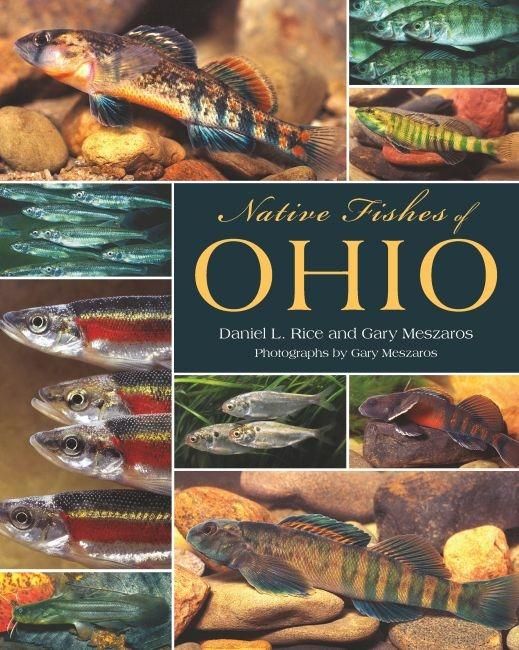 Produktbild: Native Fishes of Ohio