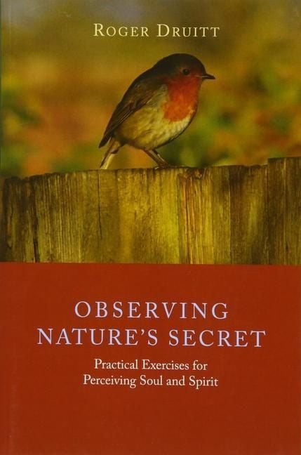 Produktbild: Observing Nature's Secret