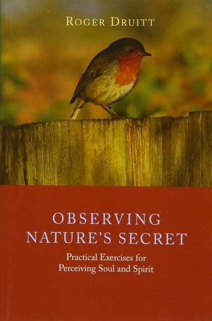 Produktbild: Observing Nature's Secret