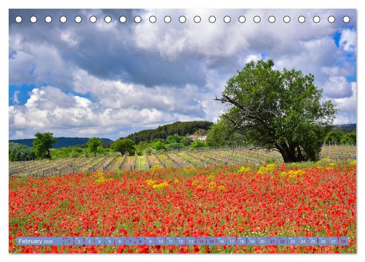 Produktbild: Discover the Beauty of Provence (Desk Calendar 2026 DIN A5 landscape), CALVENDO 12 Month DeskCalendar