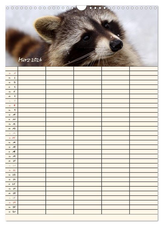 Produktbild: Waschb&auml;ren Familienplaner (Wandkalender 2026 DIN A3 hoch), CALVENDO Monatskalender