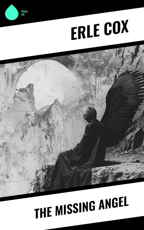 Produktbild: The Missing Angel