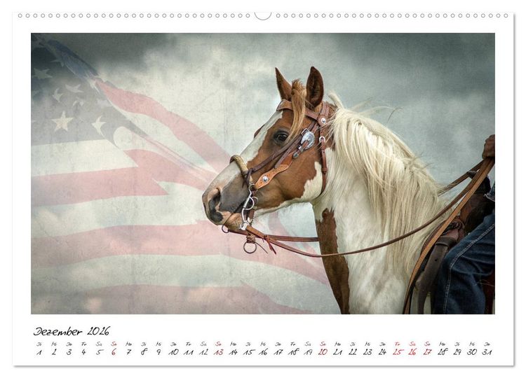 Produktbild: Mecklenburgs Wilder Westen (hochwertiger Premium Wandkalender 2026 DIN A2 quer), Kunstdruck in Hochglanz
