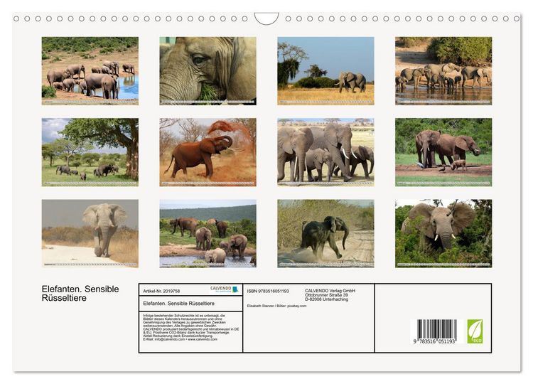 Produktbild: Elefanten. Sensible R&uuml;sseltiere (Wandkalender 2026 DIN A3 quer), CALVENDO Monatskalender