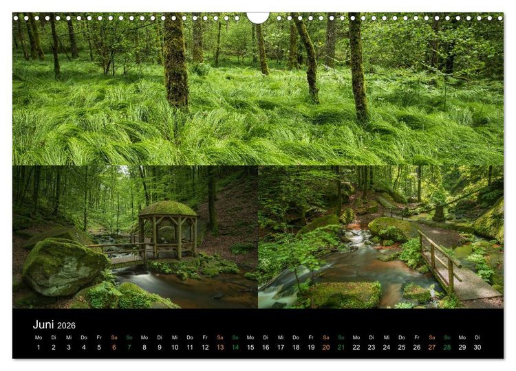 Produktbild: Atemberaubende und Emotionale Landschaften in der Pfalz (Wandkalender 2026 DIN A3 quer), CALVENDO Monatskalender