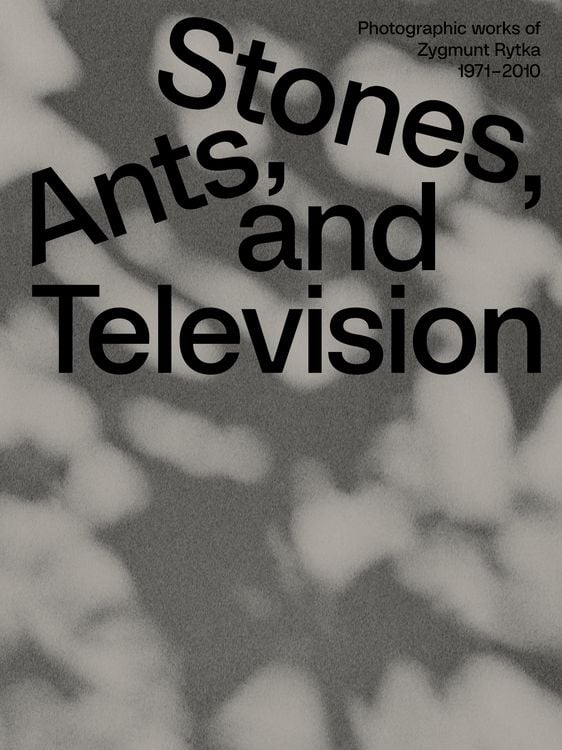 Produktbild: Zygmunt Rytka: Stones, Ants, and Television