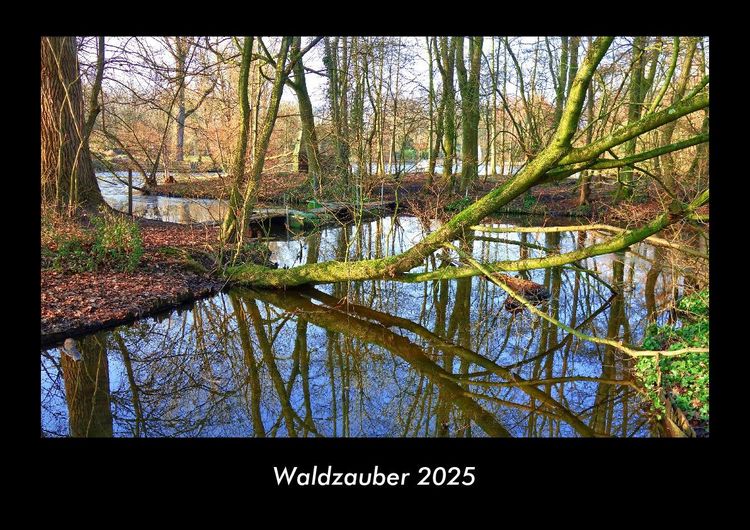 Produktbild: Waldzauber 2025 Fotokalender DIN A3