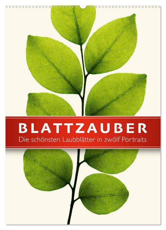 Produktbild: Blattzauber (Wandkalender 2026 DIN A2 hoch), CALVENDO Monatskalender