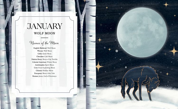 Produktbild: The Full Moon Yearbook