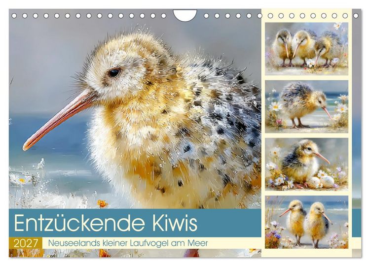 Produktbild: Entz&uuml;ckende Kiwis. Neuseelands kleiner Laufvogel am Meer (Wandkalender 2027 DIN A4 quer), CALVENDO Monatskalender