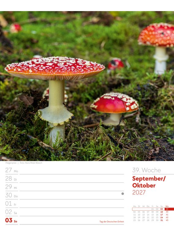 Produktbild: Unser Wald Wochenplaner Kalender 2027