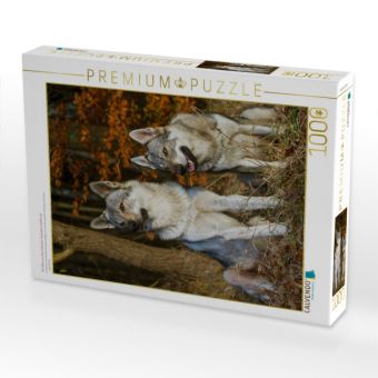 Produktbild: CALVENDO Puzzle Ein Motiv aus dem Kalender Faszination Wolfhund | 1000 Teile Lege-Gr&ouml;&szlig;e 64x48cm Foto-Puzzle f&uuml;r gl&uuml;ckliche Stunden