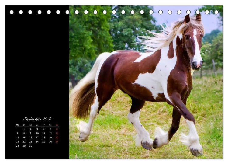 Produktbild: Irish Tinker (Tischkalender 2026 DIN A5 quer), CALVENDO Monatskalender