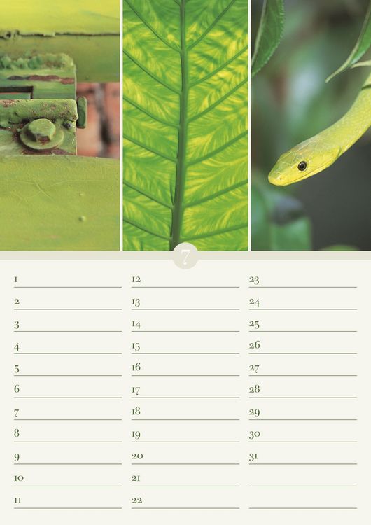Produktbild: Geburtstagskalender Harmonie & Farbe - immerw&auml;hrend - (21 x 30)
