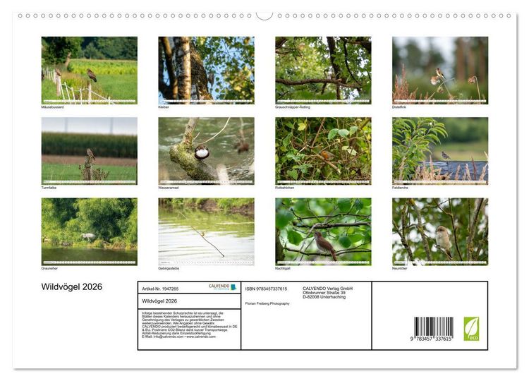 Produktbild: Wildv&ouml;gel 2026 (hochwertiger Premium Wandkalender 2026 DIN A2 quer), Kunstdruck in Hochglanz