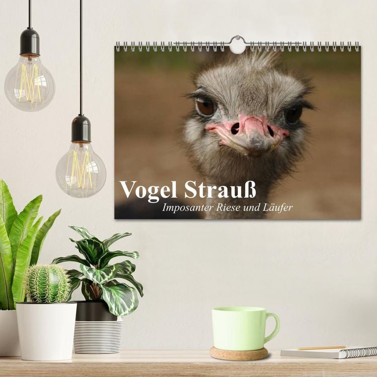 Produktbild: Vogel Strau&szlig;. Imposanter Riese und L&auml;ufer (Wandkalender 2026 DIN A4 quer), CALVENDO Monatskalender