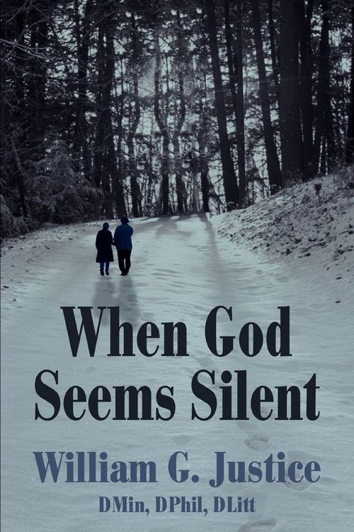 Produktbild: When God Seems Silent