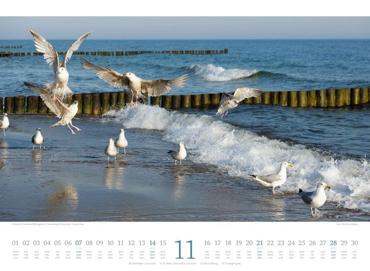 Produktbild: Tage am Meer Kalender 2027