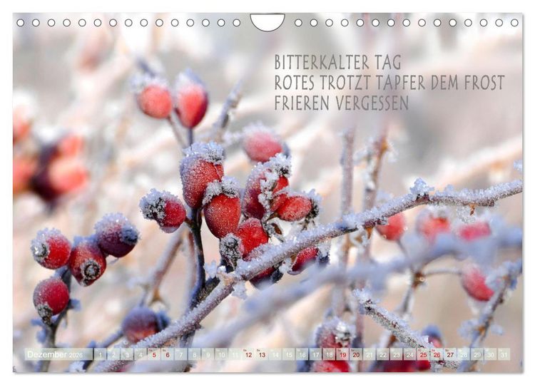 Produktbild: Haiku Poesie in Wort und Bild (Wandkalender 2026 DIN A4 quer), CALVENDO Monatskalender