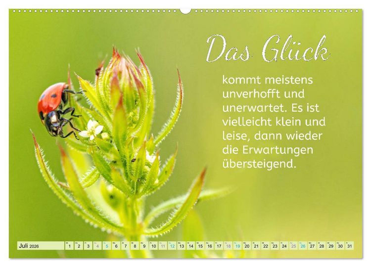 Produktbild: Der Spruchkalender - Inspirationen (hochwertiger Premium Wandkalender 2026 DIN A2 quer), Kunstdruck in Hochglanz