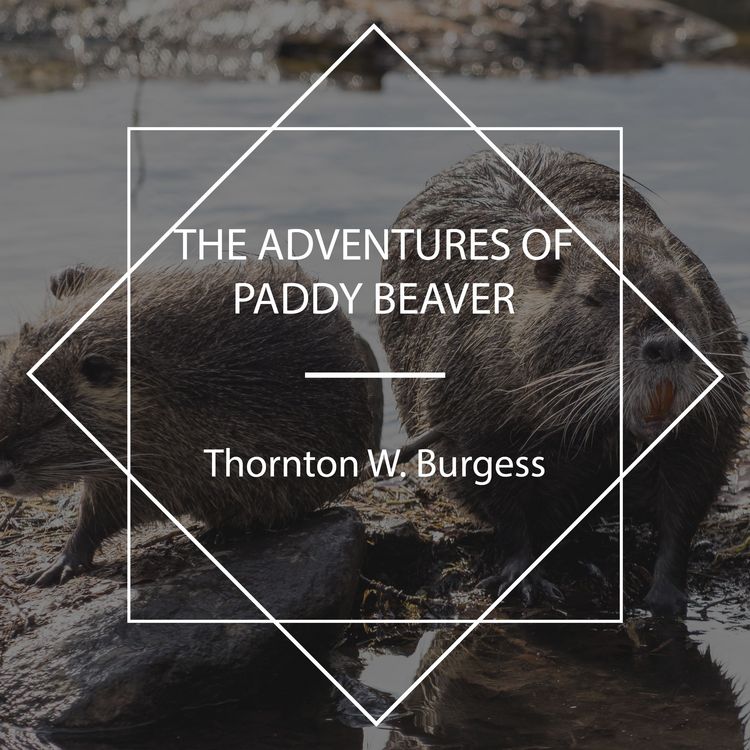 Produktbild: The Adventures of Paddy Beaver