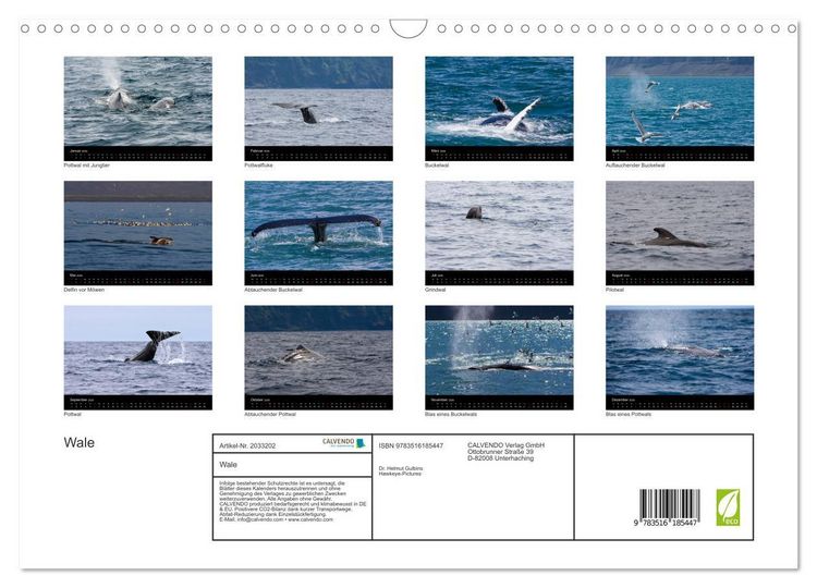 Produktbild: Wale (Wandkalender 2026 DIN A3 quer), CALVENDO Monatskalender