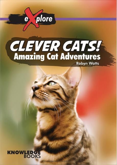 Produktbild: Clever Cats!