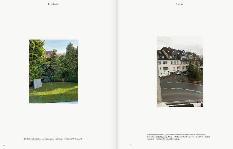 Produktbild: Public Fictions