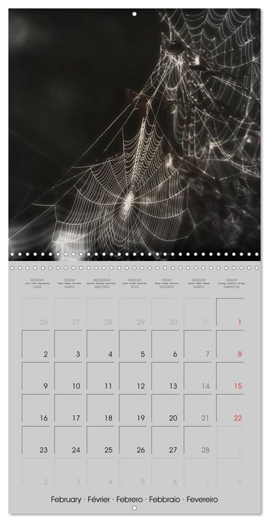 Produktbild: Kisses of dark dreams (Wall Calendar 2026 12 &times; 12 Inch) CALVENDO 12 Month Wall Calendar