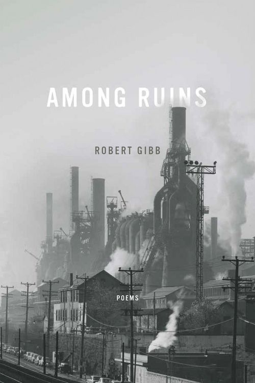 Produktbild: Among Ruins
