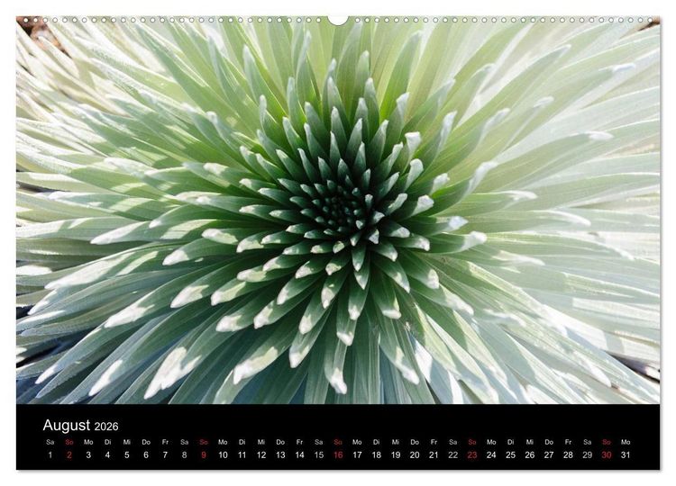 Produktbild: Hawaii - Oahu - Maui (hochwertiger Premium Wandkalender 2026 DIN A2 quer), Kunstdruck in Hochglanz