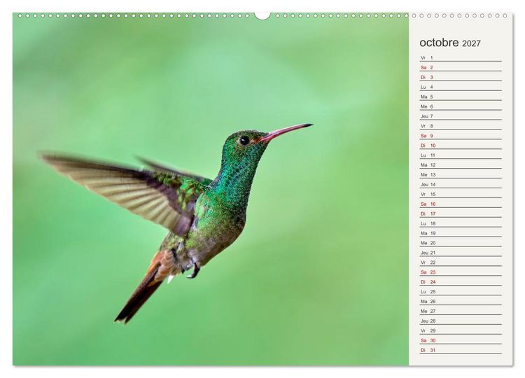 Produktbild: Colibris &ndash; &eacute;clats de nature (Calendrier mural 2027 DIN A2 vertical) calendrier de bureau