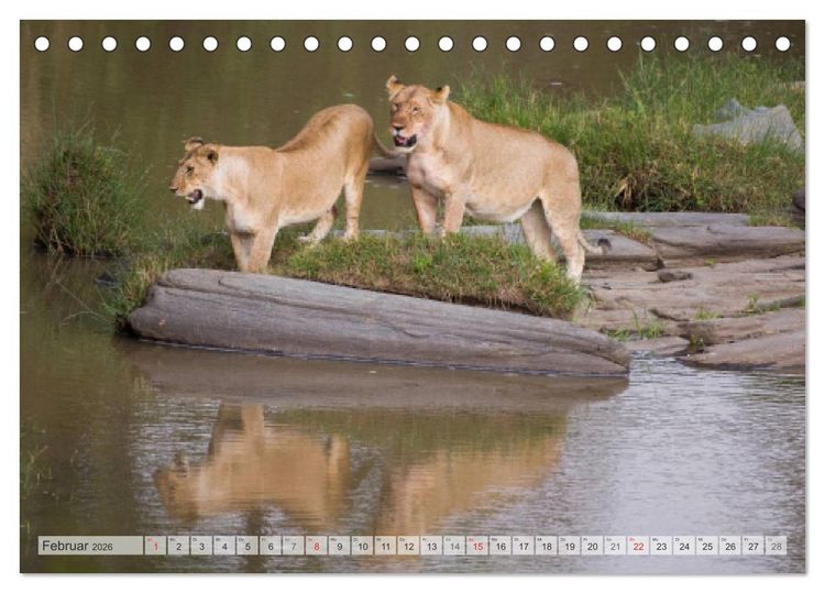 Produktbild: Emotionale Momente: Afrika Wildlife Part 2 / CH-Version (Tischkalender 2026 DIN A5 quer), CALVENDO Monatskalender