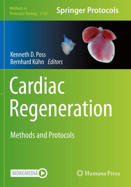 Produktbild: Cardiac Regeneration