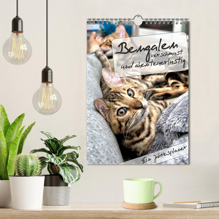 Produktbild: Bengalen - verschmust und abenteuerlustig (Wandkalender 2026 DIN A4 hoch), CALVENDO Monatskalender