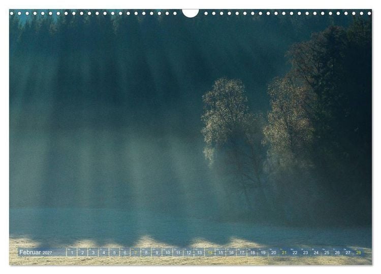 Produktbild: Spaziergang im Wald (Wandkalender 2027 DIN A3 quer), CALVENDO Monatskalender