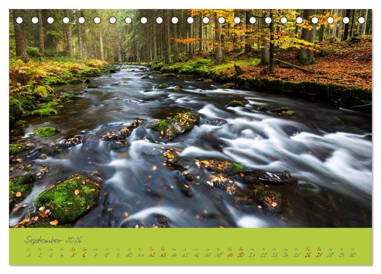 Produktbild: Der Bayerische Wald (Tischkalender 2026 DIN A5 quer), CALVENDO Monatskalender