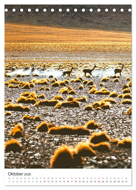 Produktbild: Chile - Ein unentdecktes Paradies. (Tischkalender 2026 DIN A5 hoch), CALVENDO Monatskalender