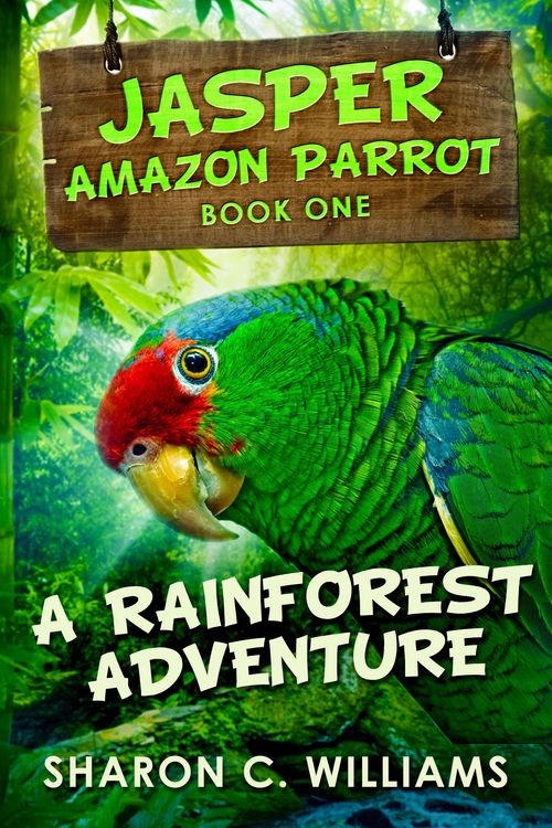 Produktbild: A Rainforest Adventure