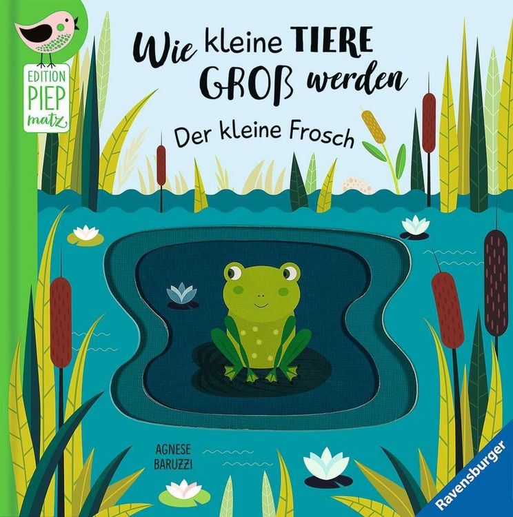 Produktbild: Edition Piepmatz: Wie kleine Tiere gro&szlig; werden: Der kleine Frosch