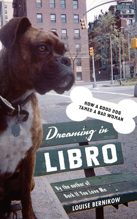 Produktbild: Dreaming in Libro
